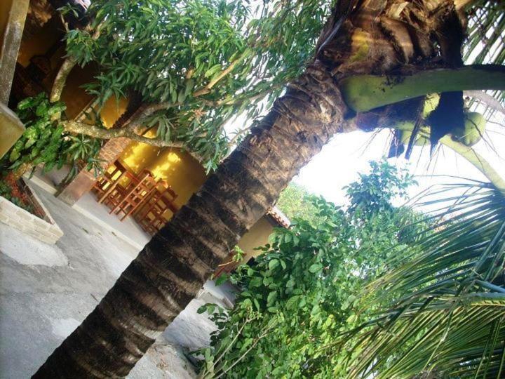 Pousada Agua De Coco Prado Bagian luar foto